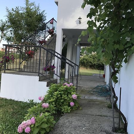 Apartmani Dragana Herceg Novi Bagian luar foto