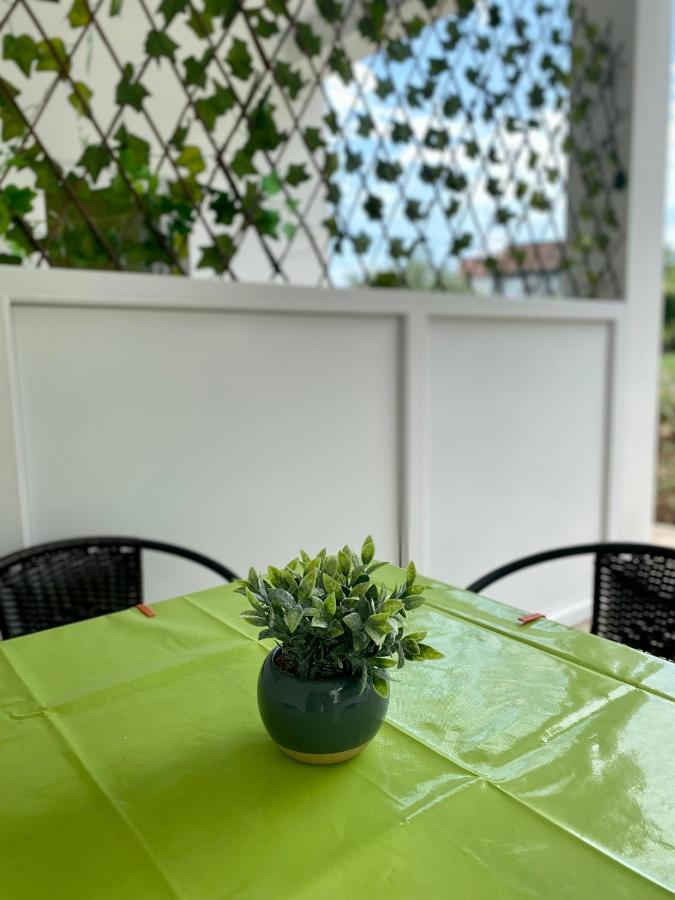 Apartmani Dragana Herceg Novi Bagian luar foto