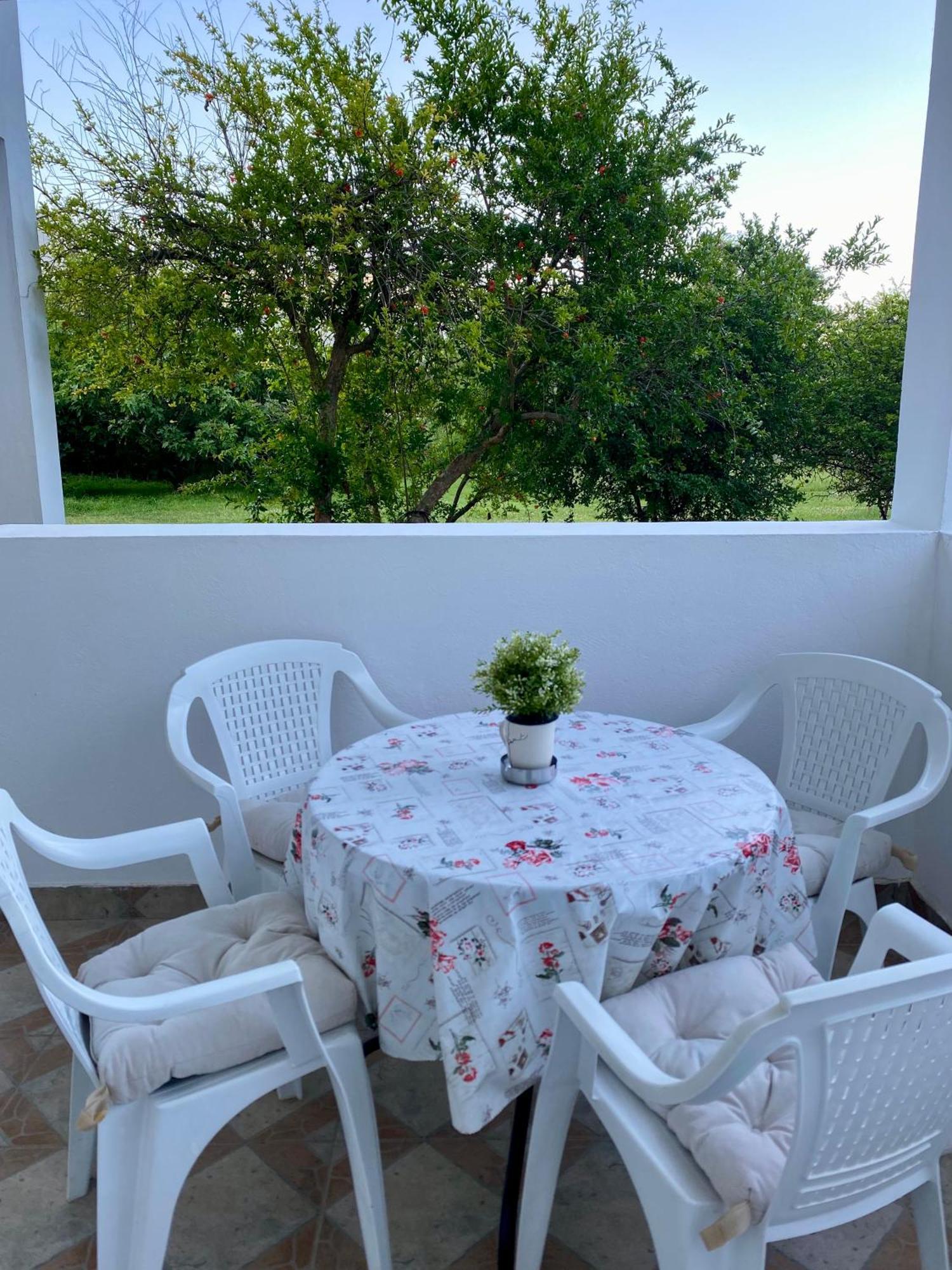 Apartmani Dragana Herceg Novi Bagian luar foto